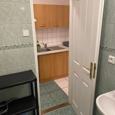 Apartment Penzion Racice Racice (Usti nad Labem)