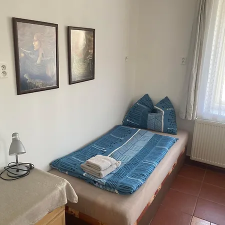 Apartment Penzion Racice *